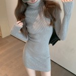 Váy len cao cổ xinh V0019